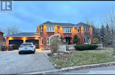 8 Ridelle Court Unit# BSMT Brampton (Heart Lake West) Ontario L6Z4M3
