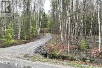 1735 KILWORTHY Road, Gravenhurst (Morrison), Ontario P0E1G0, ,Commercial,For Sale,KILWORTHY,X12037617