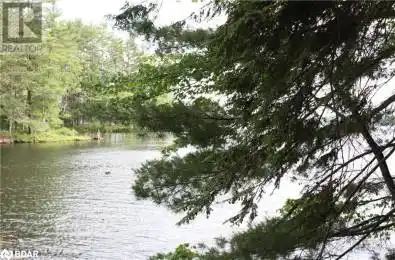 KASSHABOG LAKE Unit# Lot Havelock Ontario K0L2H0