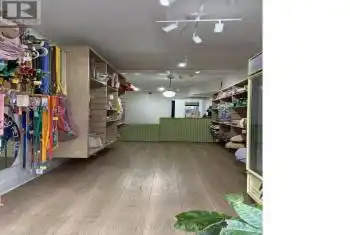 801 DUNDAS Street, Toronto (Trinity-Bellwoods), Ontario M6J1V2, ,Commercial,For Sale,DUNDAS,C12040568