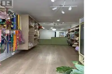 801 DUNDAS Street Toronto (Trinity-Bellwoods) Ontario M6J1V2