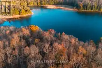 Cillca Drive, Faraday, Ontario K0L1C0, ,Commercial,For Sale,Cillca,X12040924