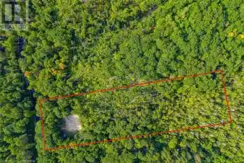1651 PORTAGE Road, Huntsville, Ontario P1H2J6, ,Commercial,For Sale,PORTAGE,40653251