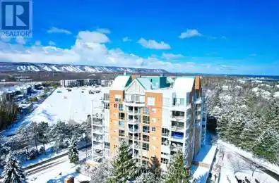 24 Ramblings Way Unit# 305 Collingwood Ontario L9Y5S7