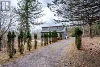 521 Concession Rd 8 Corners, Trent Hills, Ontario K0L1Y0, 5 Bedrooms Bedrooms, ,3 BathroomsBathrooms,All Houses,For Sale,Concession Rd 8,X12043609