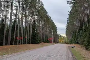 Lot 2 RED PINE Trail Unit# LOT, Bracebridge (Macaulay), Ontario P0B1L0, ,Commercial,For Sale,RED PINE,X12045253