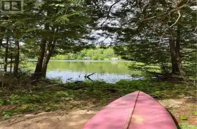 FOSTER LAKE Road Bancroft Ontario K0L1C0