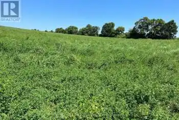 00 Webster Road, Douro-Dummer, Ontario K0L3A0, ,Commercial,For Sale,Webster,X12045880