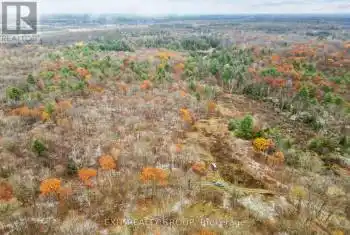 Morrison Road, Madoc, Ontario K0K1Y0, ,Commercial,For Sale,Morrison,X12046245
