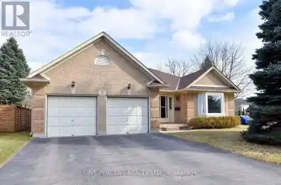 55 Steeplechase Drive Hamilton (Meadowlands) Ontario L9K1K4