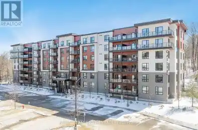 304 Essa Road Unit# 212 Barrie (400 West) Ontario L4N9C5