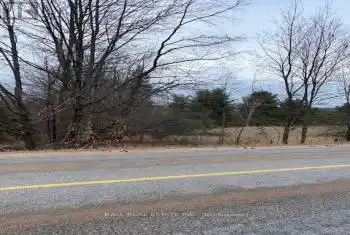 00 Detlor Road, Bancroft (Dungannon Ward), Ontario K0L1C0, ,Commercial,For Sale,Detlor,X12047870