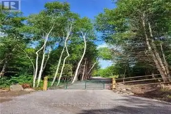 81 Silver Heights Drive, Trent Hills (Hastings), Ontario K0L1Y0, ,Commercial,For Sale,Silver Heights,X12053494