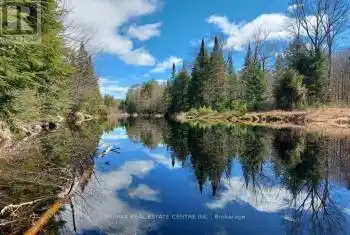 1759 Yearly Road, McMurrich/Monteith (McMurrich), Ontario P0A1Y0, ,Commercial,For Sale,Yearly,X12053384