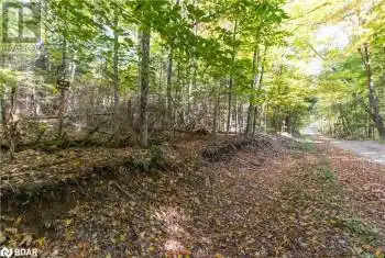 LYNX LAKE Road, Huntsville, Ontario P1H2J3, ,Commercial,For Sale,LYNX LAKE,40711849