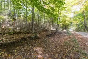 Lynx Lake Road, Huntsville (Brunel), Ontario P1H2J3, ,Commercial,For Sale,Lynx Lake,X12054105