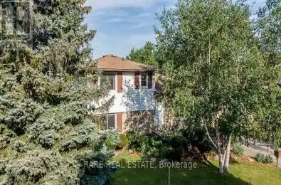 51 Ferndale Crescent Brampton (Bram East) Ontario L6W1G1