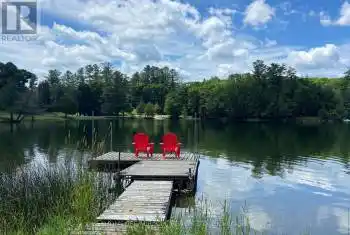 26547 HIGHWAY 62, Bancroft (Dungannon Ward), Ontario K0L2L0, 4 Bedrooms Bedrooms, ,3 BathroomsBathrooms,All Houses,For Sale,HIGHWAY 62,X12059333