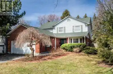 8 Stonemanse Court Toronto (Woburn) Ontario M1G3V3