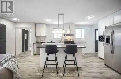3 Smyth Crescent Unit# MAIN Level New Tecumseth (Beeton) Ontario L0G1A