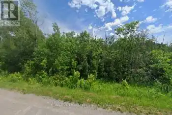 Mount Pleasant Road, Cavan Monaghan, Ontario L0A1C0, ,Commercial,For Sale,Mount Pleasant,X12062620