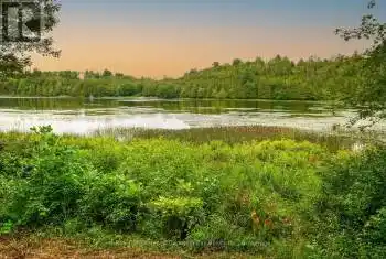 1088 Ashgrove Trail Unit# 44, Frontenac (45 - Frontenac Centre), Ontario K0H1B0, ,Commercial,For Sale,Ashgrove,X12066425