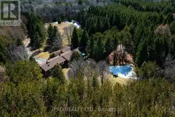 7302 Coolihans Sideroad, Caledon, Ontario L7K0P6, 5 Bedrooms Bedrooms, ,3 BathroomsBathrooms,All Houses,For Sale,Coolihans,W12067704