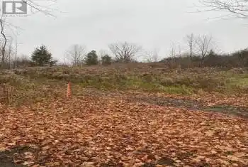 40 North Street Unit# Lot #2, Bayham (Vienna), Ontario N0J1Z0, ,Commercial,For Sale,North,X12071375