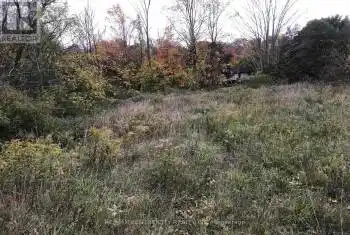 36 North Street Unit# Lot 1, Bayham (Vienna), Ontario N0J1Z0, ,Commercial,For Sale,North,X12071379