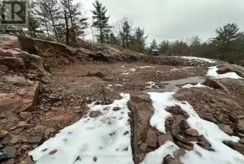 1110 Flanagan Trail, Gravenhurst (Morrison), Ontario P0E1G0, ,Commercial,For Sale,Flanagan,X12073693