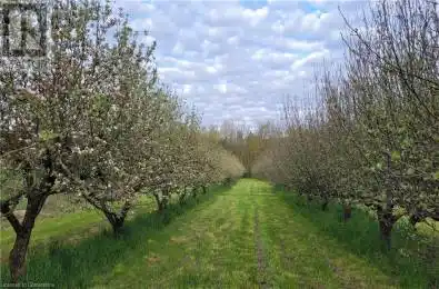 576799 CONCESSION 9 Concession Chatsworth Ontario N0H1G0
