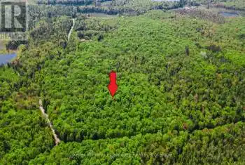 Healey Lake Road, Bracebridge (Macaulay), Ontario P1L1X3, ,Commercial,For Sale,Healey Lake,X12074830