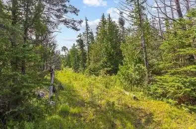 205 EAST Road Northern Bruce Peninsula Ontario N0H 1W0