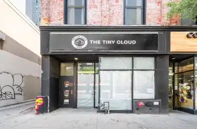 439 Spadina Avenue Toronto C01 Ontario M5T 2G6
