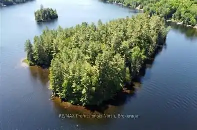 BUCKTOOTH N/A Perry Ontario P0A 1J0