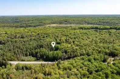 459 Deer Lake Road Huntsville Ontario P0B 1L0