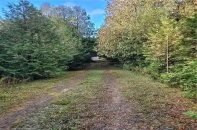 PT LT88 HIGHWAY 10 N/A West Grey Ontario N0C 1H0