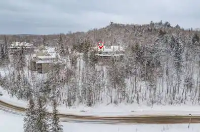 3831 Grandview Forest Hill Drive Huntsville Ontario P1H 2J5