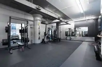 119 Spadina Avenue Unit# 203 Toronto C01 Ontario M5V 2L1