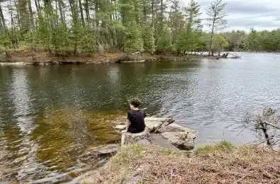 1110 Flanagan Trail Gravenhurst Ontario P0E 1G0