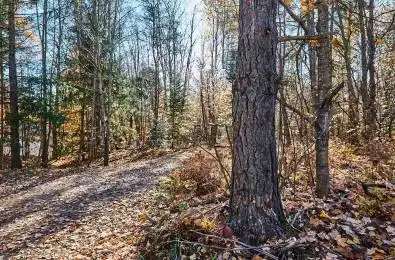 East Waseosa Lake Road Huntsville Ontario P1H 2J4