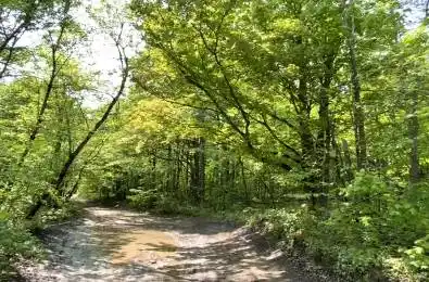 N/A Boundary Road Scugog Ontario L9L 1B3