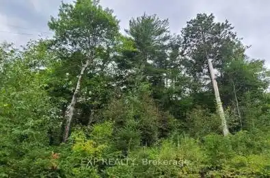 20 Peplinski Homestead Road Madawaska Valley Ontario K0J 2N0