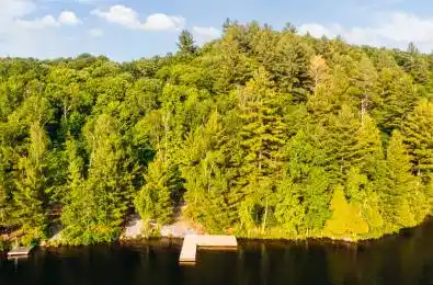860 Big Island N/A Huntsville Ontario P1H 2J2