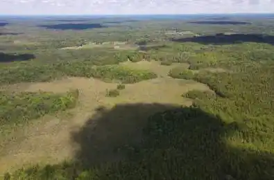 1670 Daley Road Tyendinaga Ontario K0K 2W0