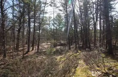 LOT 15 Concession 9 N/A Trent Lakes Ontario K0L 1J0