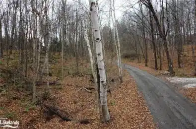 BASSHAUNT LAKE Road Dysart et al Ontario K0M 1S0