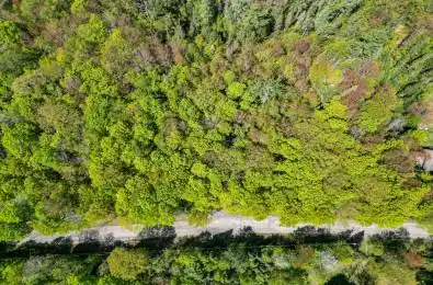 989 North Waseosa Lake Road Huntsville Ontario P1H 2J4