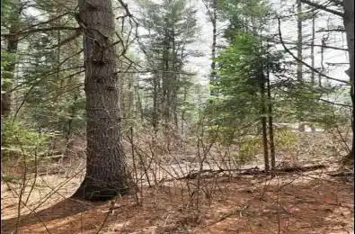 107 Balsam Chutes Road Huntsville Ontario P0B 1L0