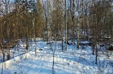 SOUTH Lt 1 Con 2 OTTER LAKE Road Rideau Lakes Ontario K0G 1L0